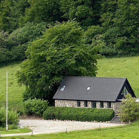 Stenhuset I Pilbrodalen スカナボー エクステリア 写真
